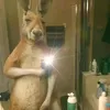robertofernande28
