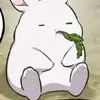 totoro...san