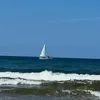 beciula_66