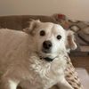 tessie694