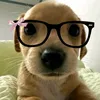 euzinha_eu1212