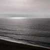 ficotijerina