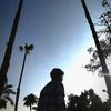 nour.mohamed251