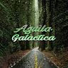 aguilagalactica231