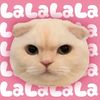 aabinayay