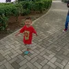 ronyshadega