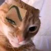 gatachicaa