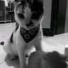 viky.778