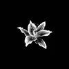 irenqxv
