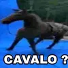 lutoxx..x