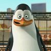 danbull_228