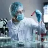 labmainn