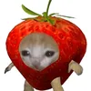stek_stek_ahya