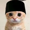 adnansyauqi