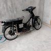nexii55