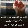 user258520389