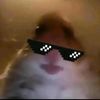 dylan_slice