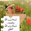 moazmohamed_