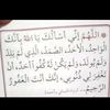 user821350790