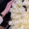 fadwa_b12