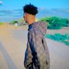 hamze0zil43