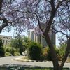 alshhry11011