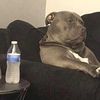tyfromny1