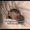 chingolito_09