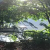 takara.hana