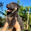dinhlien270799