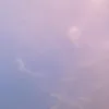 phq_chi.08