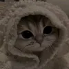 lilssaaa44