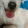 haowbskwn
