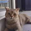 zurafi_115