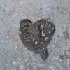 blume_tv