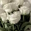 user921257374