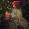 calypserose