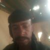 fox_3790