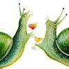 _dr.snail_