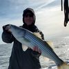 kevinmiller075