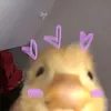 dylzz.z