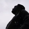 henrylinn02