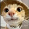 _majo_luu