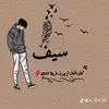 saifalshawi5