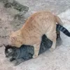 kiki_o_99