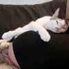 melissachill3