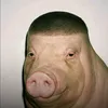 chlenodrobitel3000