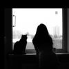 sandy_abdelaziz_