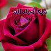 user418700901lili
