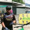 rolocampos